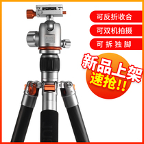 New product Jiaxinyue tripod portable ultra-light camera holder travel ultra-short Nikon Sony tripod micro SLR