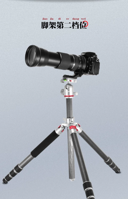 Jiaxin Wyatt sợi carbon chân máy súng Canon SLR camera chân fowling nhiếp ảnh camera tripod - Phụ kiện máy ảnh DSLR / đơn