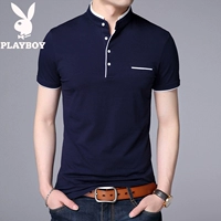 029 Тибетский синий воротник