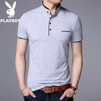 029 Серый воротник