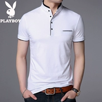 029 Белый воротник