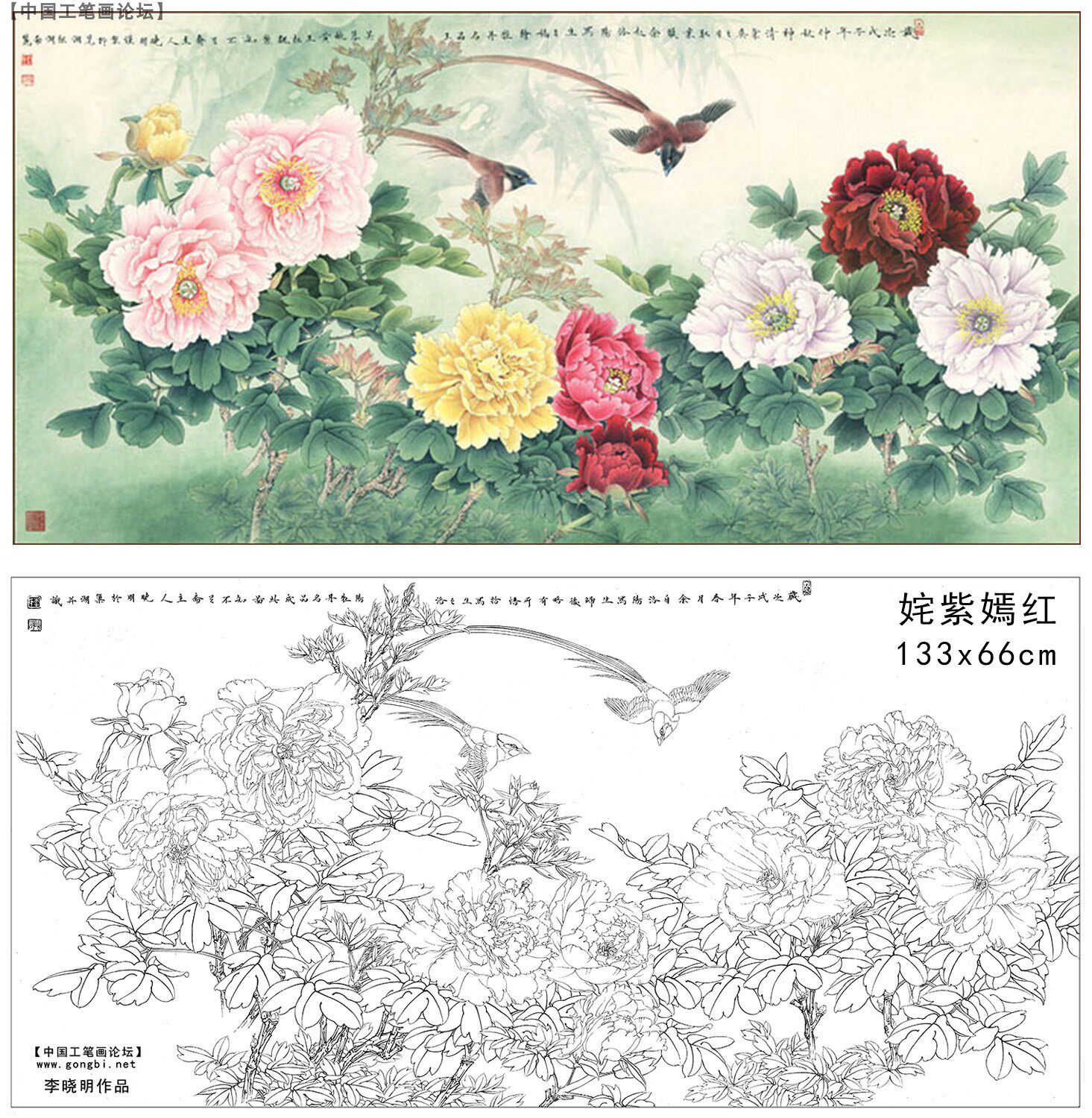 товар из китая 工笔画论坛李晓明原创工笔画底稿白描稿--姹紫嫣红（送a3彩图）