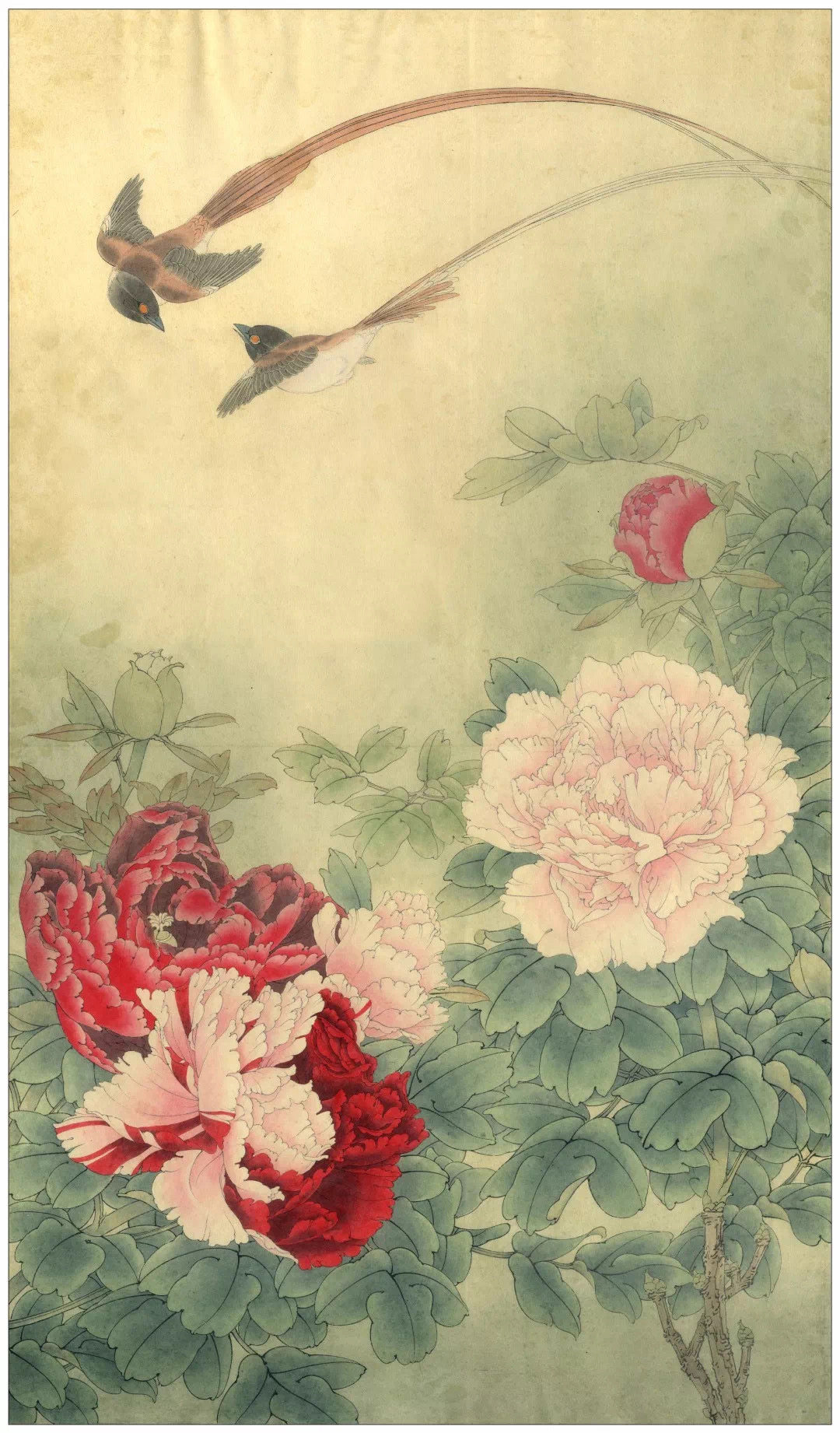 товар из китая 工笔画论坛李晓明工笔画底稿白描大稿--长寿永昌（含a3 彩图一张