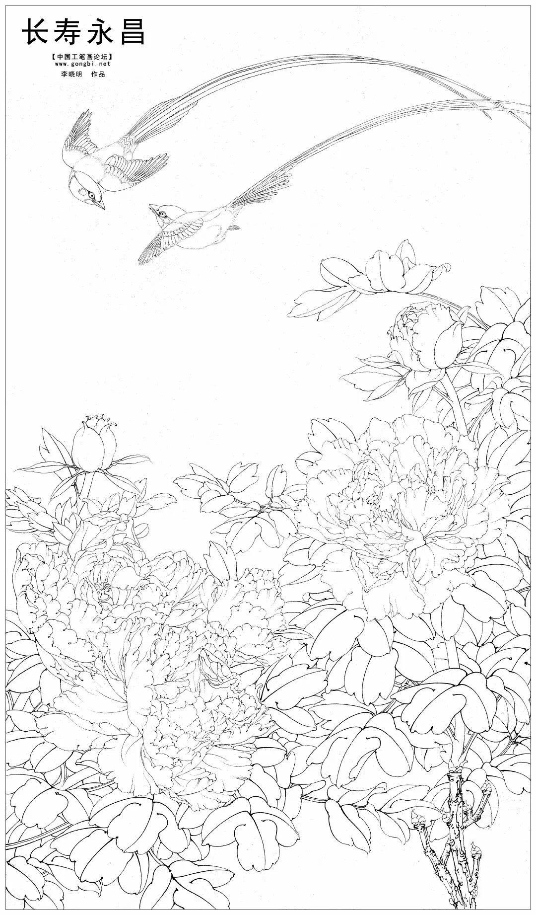 товар из китая 工笔画论坛李晓明工笔画底稿白描大稿--长寿永昌（含a3 彩图一张