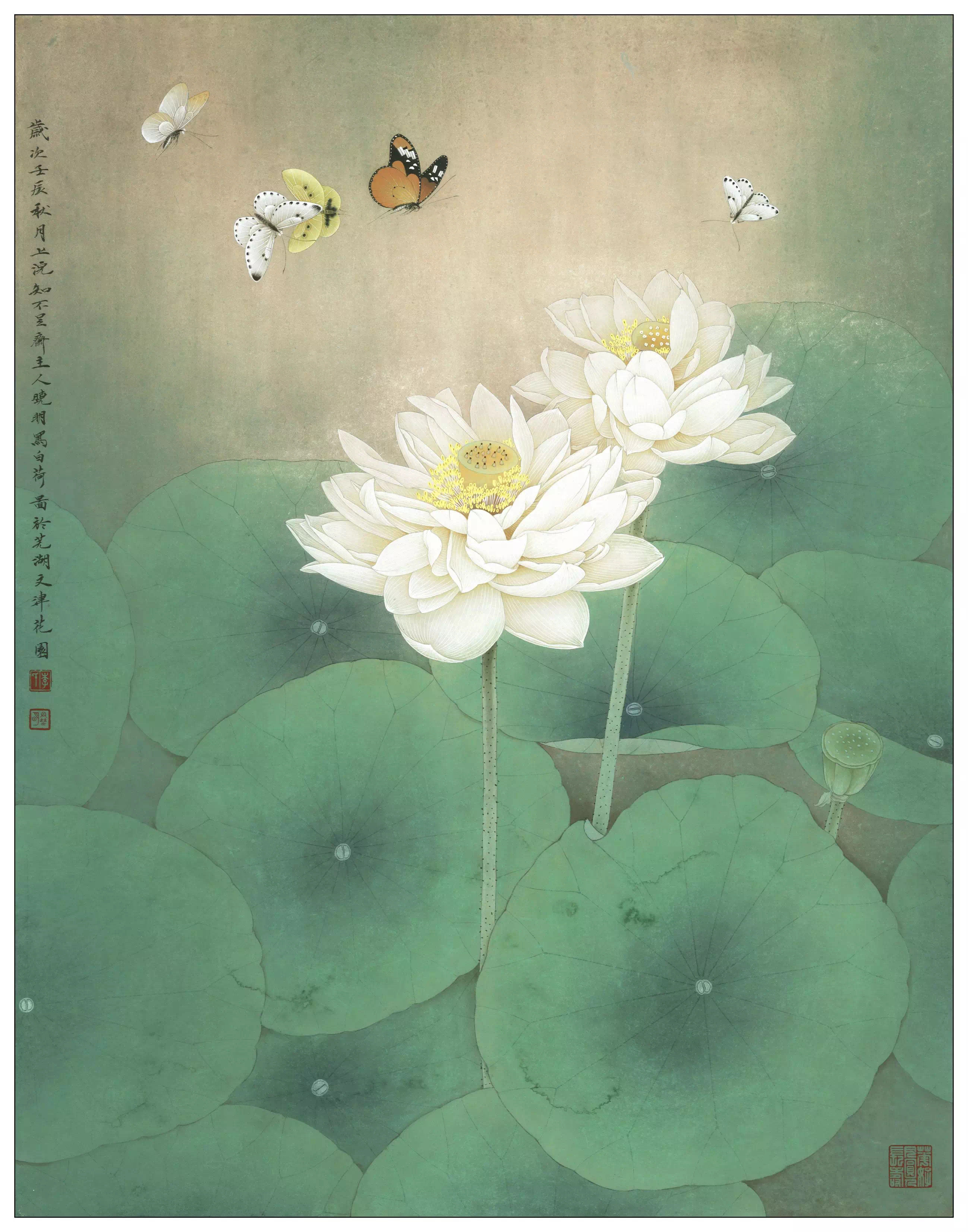 товар из китая 中国工笔画论坛李晓明原创工笔画底稿--君子爱莲送a3 彩图一张