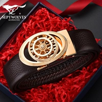 Модель обновления (Golden Buckle-Brown Band)