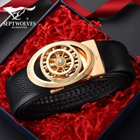 Модель обновления (золотая пряжка-черная тело)