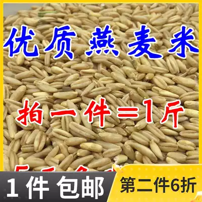 Oat poo and EE seed bird niao liang oats and wild wheat oat kernel budgie peony xuan feng five pounds