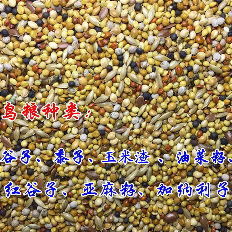 Seven Colorful Bird Hibiscus Birds Golden Silk Nestle Birds Pearl Birds Hibiscus Birds Yu Bird Food Mixed Birds Food and Bird Food Feed