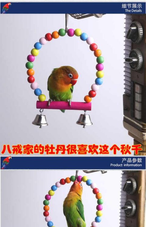 Chim đồ chơi Hamster vẹt cung cấp chim leo thang chim đu chim leo chim thức ăn chim hộp thức ăn vật nuôi - Chim & Chăm sóc chim Supplies lòng chào mào