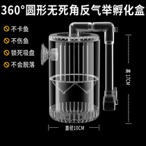 Fish tank hatching box breeding box fry isolation box hot i-band guppy betta fish isolation net spawning room