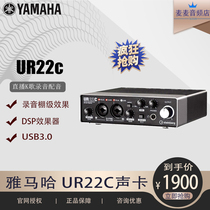 Steinberg Yamaha Academic Card UR22C specialized composition live audio recording device