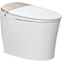 (Exclusive for good things experience) Hengjie Smart Toilet Fully Automatic Integrated Toilet Home Small Household H5P