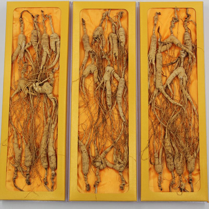 Changbai Mountain Ginseng Forest Ginseng Forest Under the Forest Foraging Wild Mountain Ginseng Ginseng Gift Box 30 grams 6 to 20 sticks