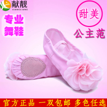Young children cat paws red pink ballet shoes dance shoes soft-soled yoga practice shoes girls gymnastics shoes shape shoes