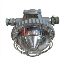 DGS18 127L mine flameproof LED roadway light 127V mine underground special explosion-proof light