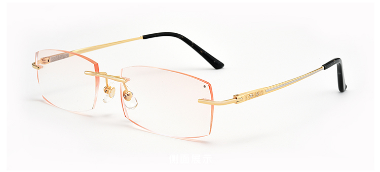 Montures de lunettes en Titane pur - Ref 3139211 Image 30