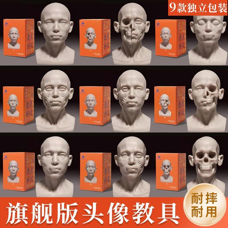 2024アップグレード版スケッチ教材石膏教材キャラクターヘッドポートレート高さ13cm落下防止幾何学ボディ