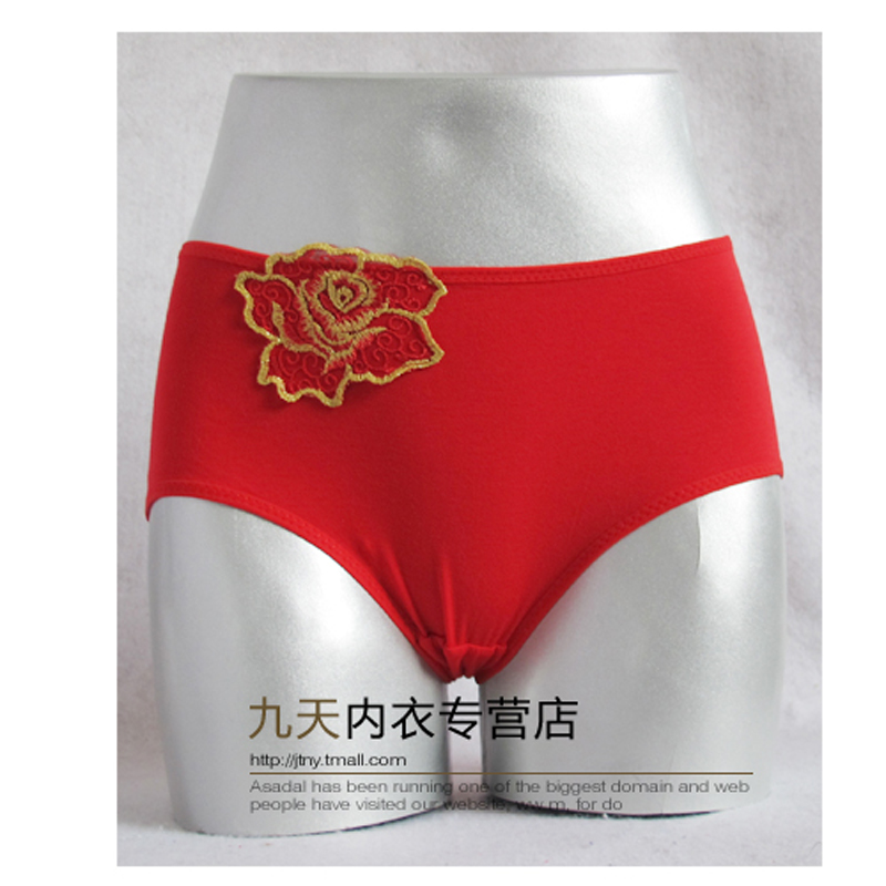 Slip jeunesse LUNILAI en coton - Ref 645855 Image 15