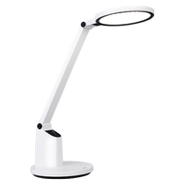 Regez Lighting Country AA Grade Charging Table Lamp Learning Dedicated Students Children Desk Job Writing Reading Eye Protection Lights