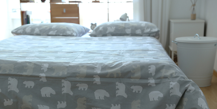 Cặp gối bông kiểu Nhật hoạt hình cotton đơn gối gối ký túc xá Giường đôi 48 * 74 - Gối trường hợp gối chống trào ngược cho bé