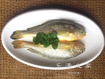 (Fresh-large yellow croaker) Wenzhou deep sea yellow croaker steamed onion oil braised 300g Yueqing home Liu City