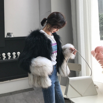  Raccoon hair braided fur coat womens short contrast color 2021 Haining new fox hair Korean version slim special offer