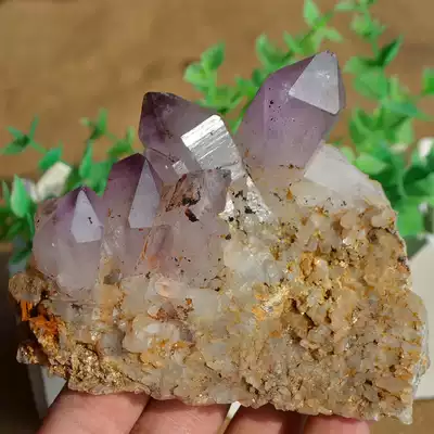 天然紫水晶柱簇原石擺件紫晶白水晶石花