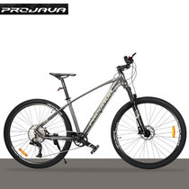 PROJAVA Mountain Bike Bike 29 Inch 12S Speed Men XC Cross-country Variable-speed Oil Pressure Disc Brake Gas Fork Adult Bikes