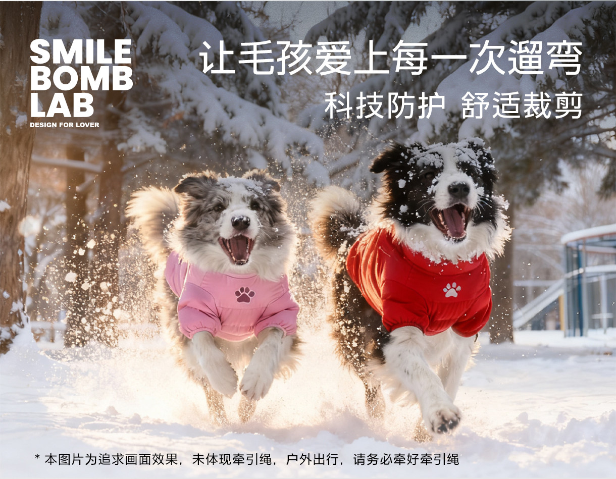Dog Winter Vest: Water-Repellent P Cotton Ribbed - Product image 7