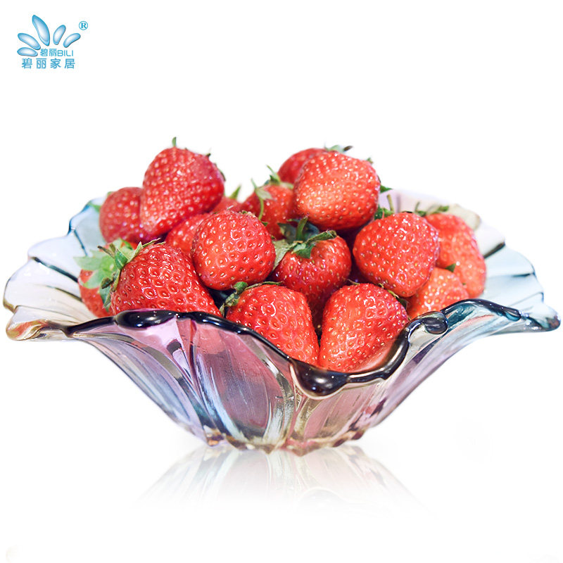 ����ŷʽ��������BL-312