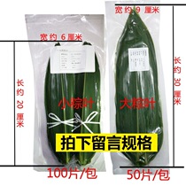Zongzi leaves 100 slices of fresh green bamboo leaves Leaf Sushi Cuisine Grilled Meat Decorations with large rice dumplings vacuum 5