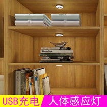 EuromoLED body induction lamp USB induction charging light wardrobe sensing LED light wine cabinet LED light cabinet light