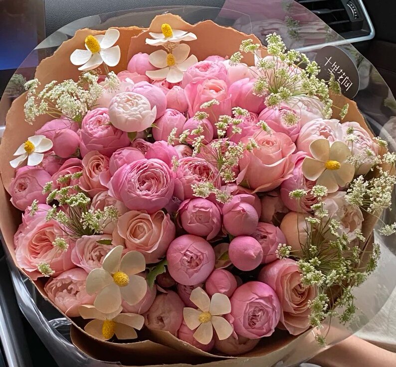 芝芝高端羊绒