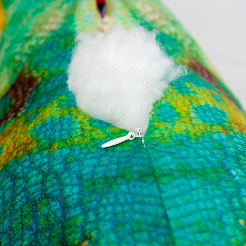 ��粹��ʿ�ͨ������ͷBSL