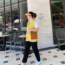 ALIN customizes large - code vest 2020 new female Spring and Autumn long loose large - code knitting vest tide