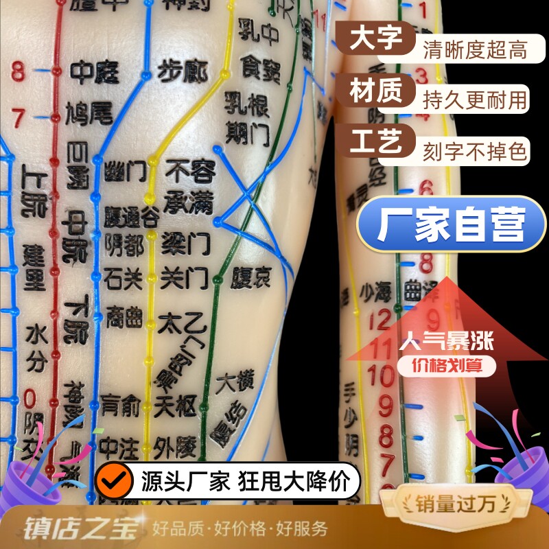 中医针灸穴位图人体模型小皮人全身十二经络铜人练习扎针人偶模特