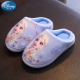 AY223401 ICE и SWINE BLUE