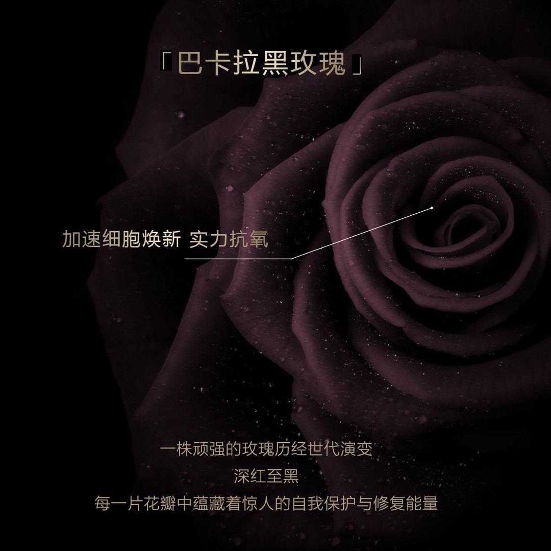 抗皱精华液红黑榜更新!狄卡姿黑玫瑰臻奢抗皱精华液真实测评来了_液态精华_淘宝美妆网