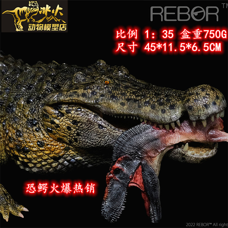 Rebor Jurassic Dinosaur 22 Million Years Old Prehistoric Giant Crocodile Crocodylus Adult and Child Model Finished Product Hot Selling Accepting Orders