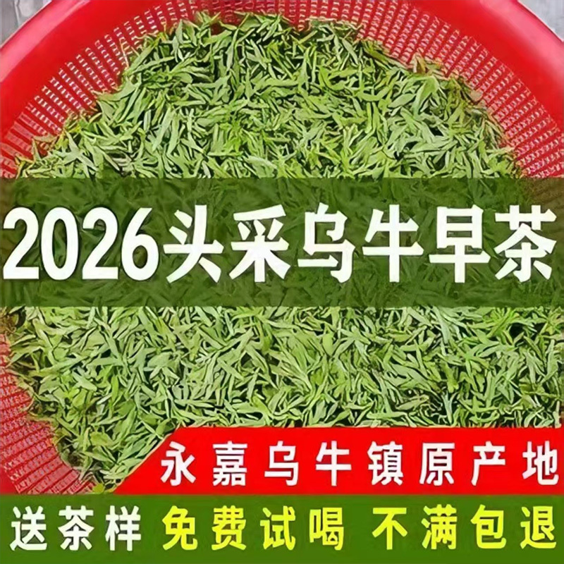 2026 Wuniu Early Tea Premium First Harvest Pre-Qingming Tea 125g Wenzhou Yongjia Specialty Wuniu Early Longjing Tea Spring