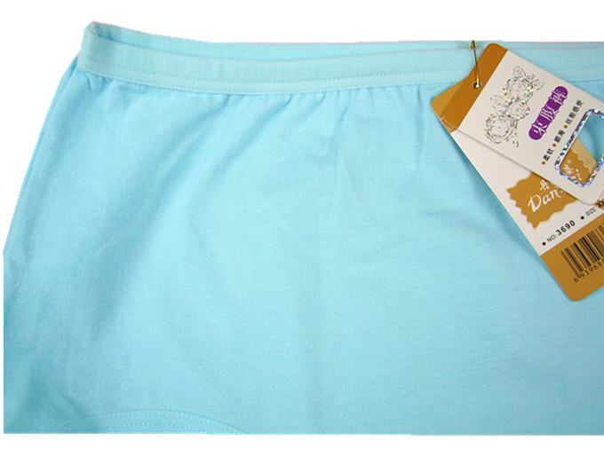 Slip simple en coton - Ref 644604 Image 20