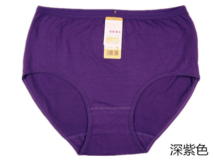 Slip simple en coton - Ref 644604 Image 35