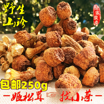 Deep mountain farm Agaricus Blazei farm high-quality selected Matsutake mushroom Brazilian mushroom edible mushroom fresh dry goods 250g