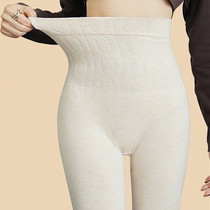 Womens high-waisted long trousers abdominal stomach warm pants Modal high-elastic pants tight pants warm Palace thin pants