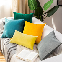 Pillow cushion Living room sofa pillow Office waist support Bedside back cushion Velvet pillow cover does not contain core