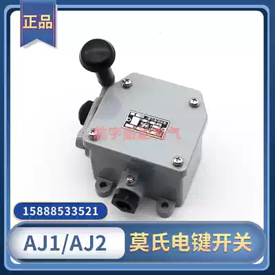 Starfish Marine key switch AJ1 AJ2 Mohs type key single double bond handle switch 220V10AIP56