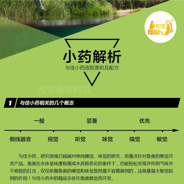 顺丰包邮与佳钓鱼小药信息素德国魔水黑坑鲫鲤