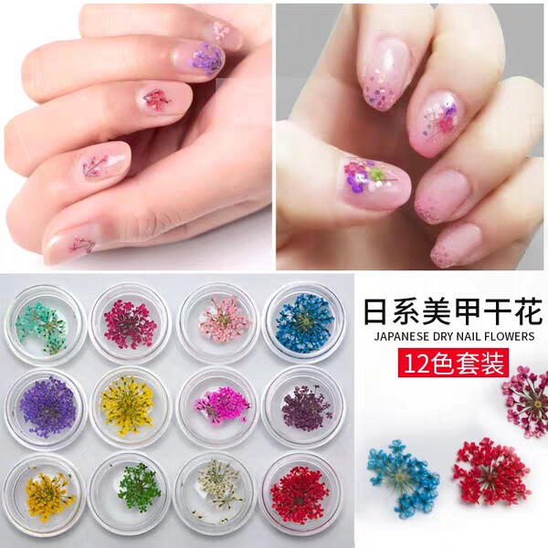 Mechia Dried Flower Ornament Fingernail Appliquise 12 Color Decorative Daisy Flowers Japan Small Stereo Natural Use Japan