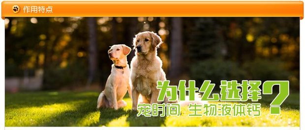 Pet thời gian sinh học chất lỏng canxi 100ml sản phẩm sức khỏe chó Pet chó mèo viêm khớp sụn chân mềm sữa cho chó con mới sinh